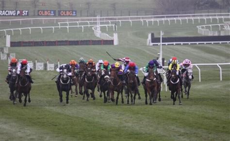 Mares Novices Hurdle Tips, Runners & Trends Cheltenham.